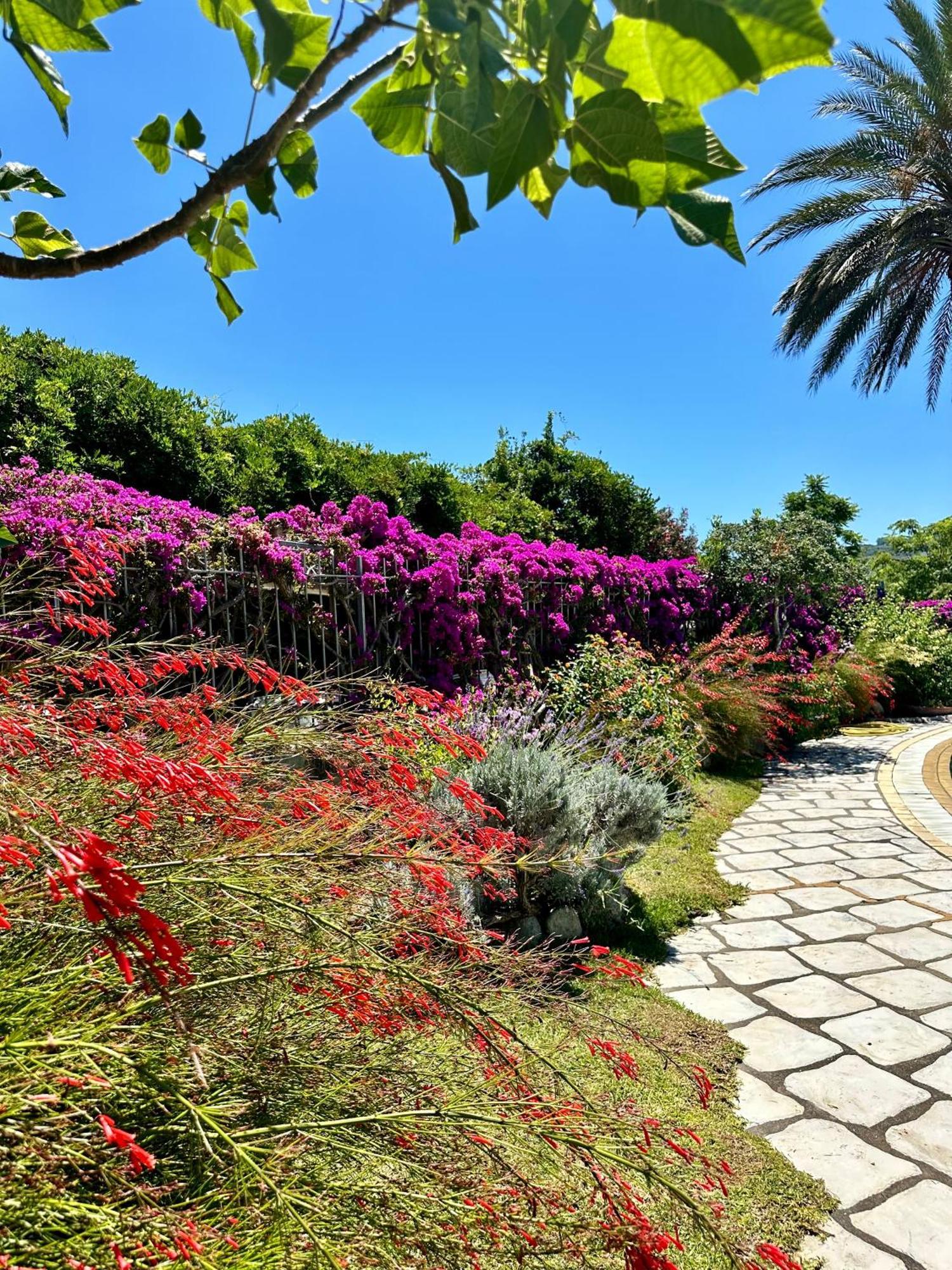 Hotel Boutique Ischia Exterior photo